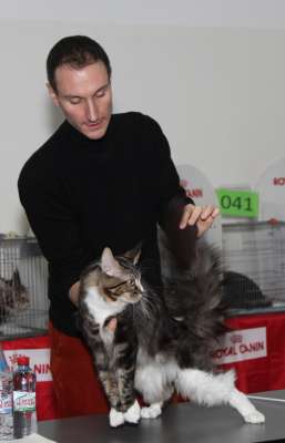 �������� ����� '������� ���-�����' 30 ������-1 ������� 2013., ������������ ��� 2325